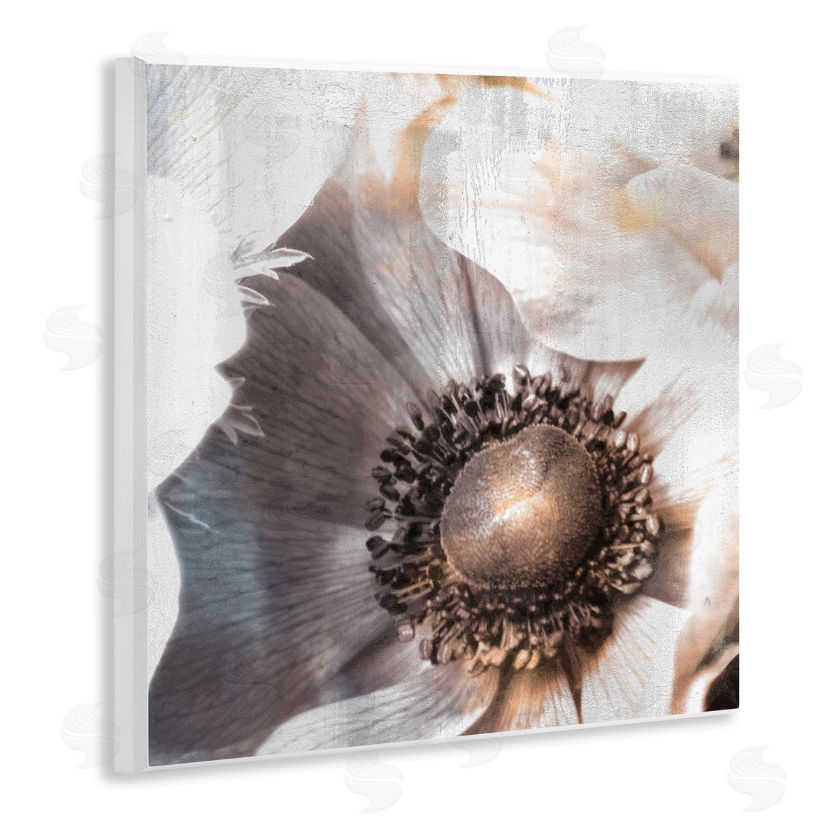 Kim Allen Poppy Flower Close Up Floral Petal Detail Wooden Wall Plaque Art Print