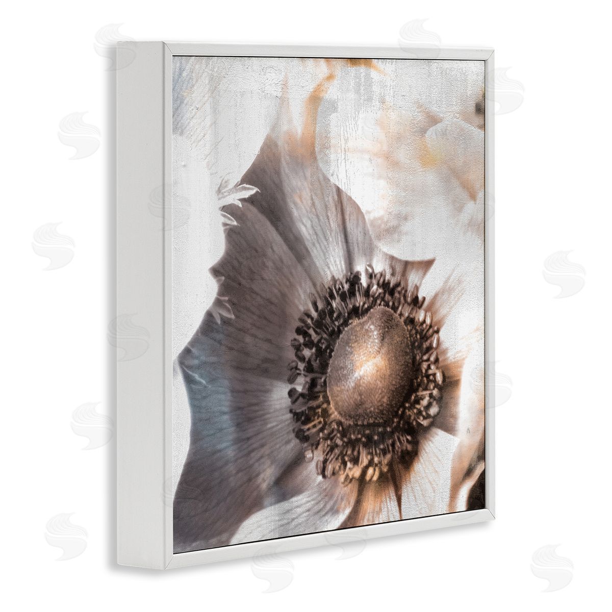 Kim Allen Poppy Flower Close Up Floral Petal Detail White Framed Glicee Wall Art Print