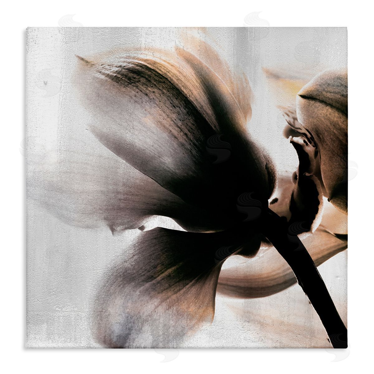 Kim Allen Flower Stem Silhouette Petals Distressed Background Stretched Canvas Wall Art Print