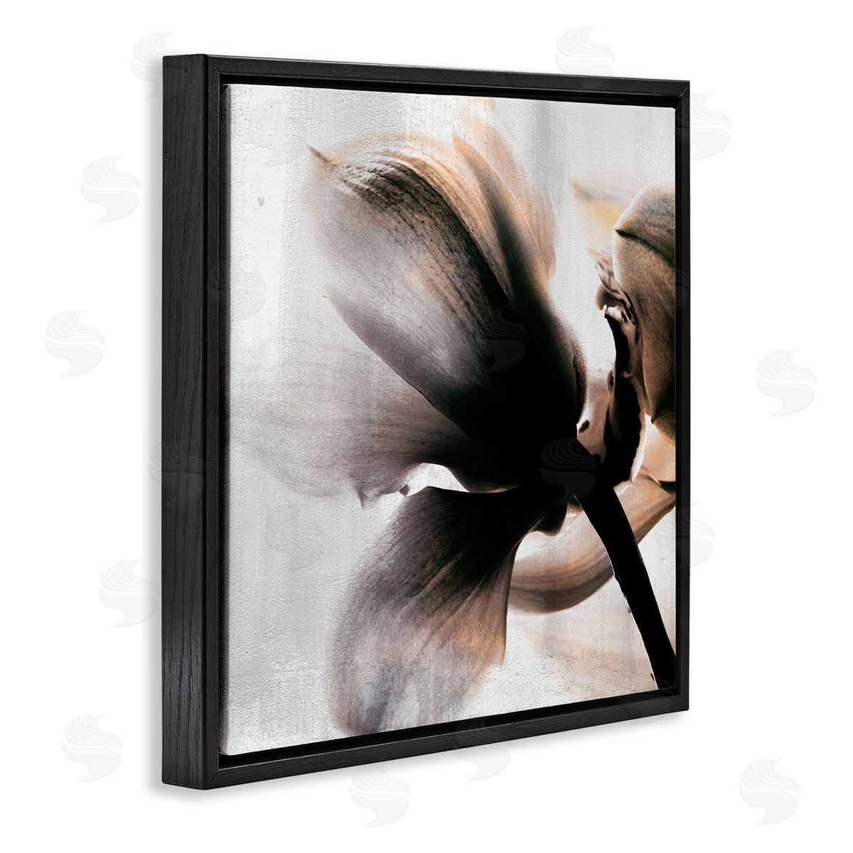 Kim Allen Flower Stem Silhouette Petals Distressed Background Black Floating Frame Canvas Wall Art Print