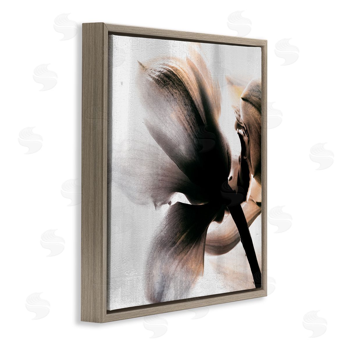 Kim Allen Flower Stem Silhouette Petals Distressed Background Brown Floating Frame Canvas Wall Art Print