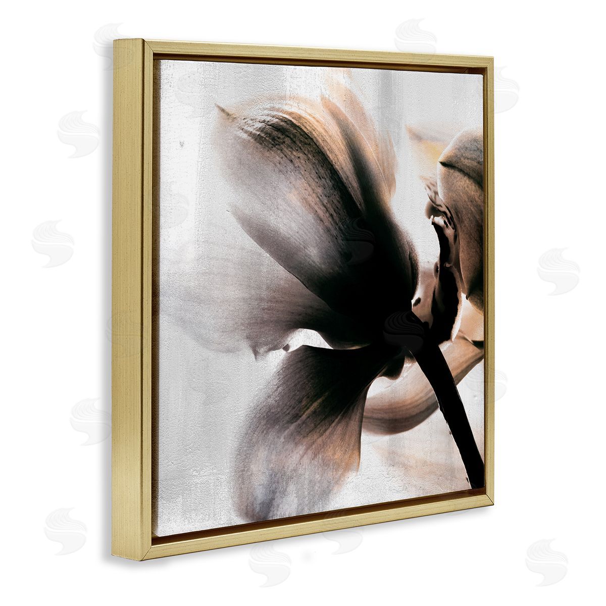 Kim Allen Flower Stem Silhouette Petals Distressed Background Gold Floating Frame Canvas Wall Art Print