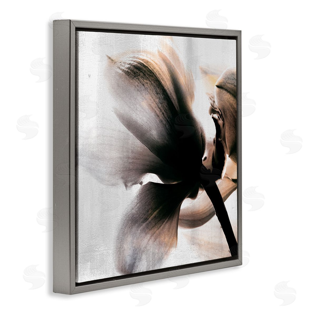 Kim Allen Flower Stem Silhouette Petals Distressed Background Gray Floating Frame Canvas Wall Art Print