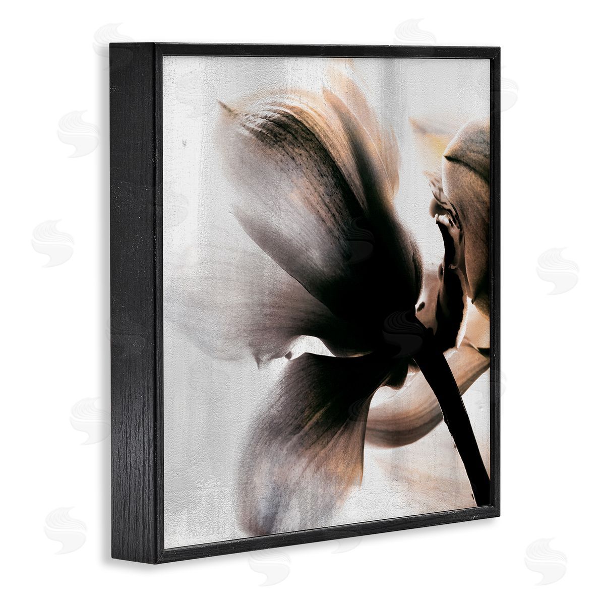 Kim Allen Flower Stem Silhouette Petals Distressed Background Black Framed Glicee Wall Art Print