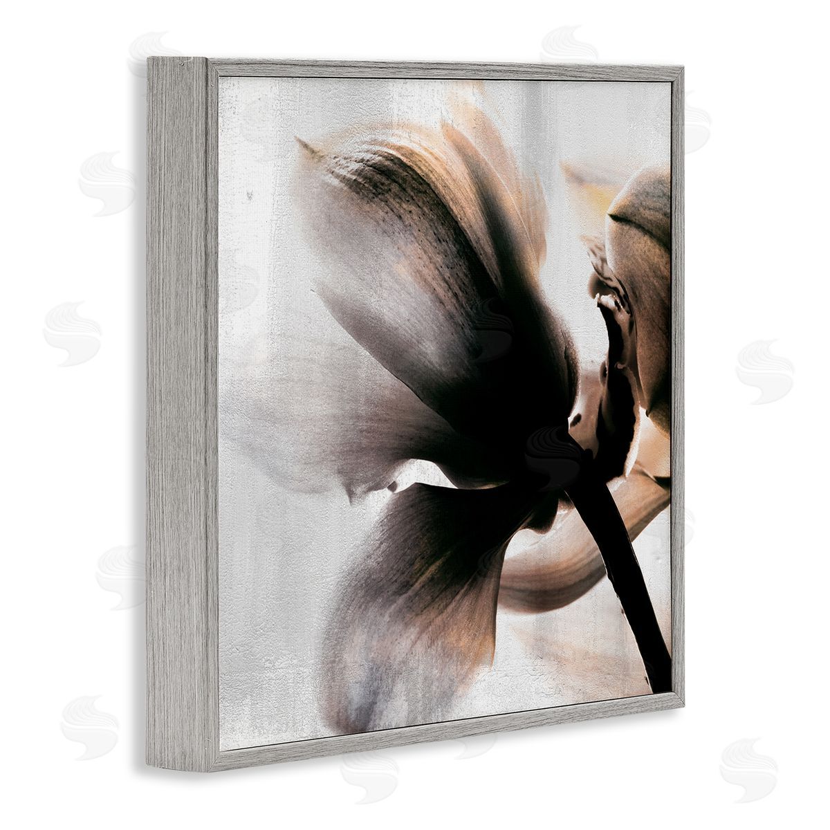 Kim Allen Flower Stem Silhouette Petals Distressed Background Gray Framed Glicee Wall Art Print