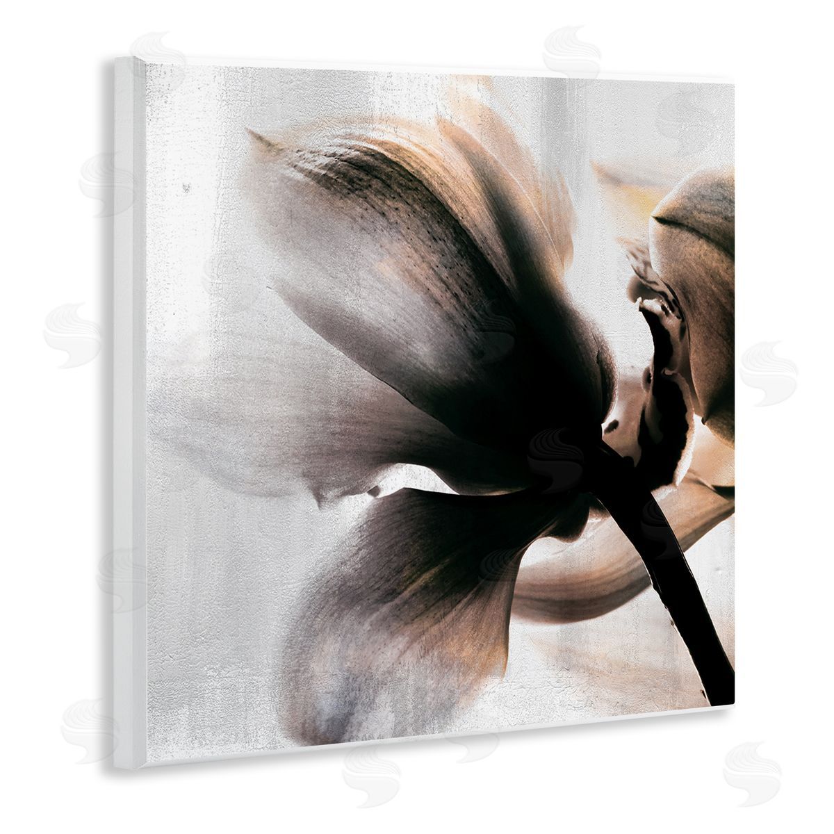 Kim Allen Flower Stem Silhouette Petals Distressed Background Wooden Wall Plaque Art Print