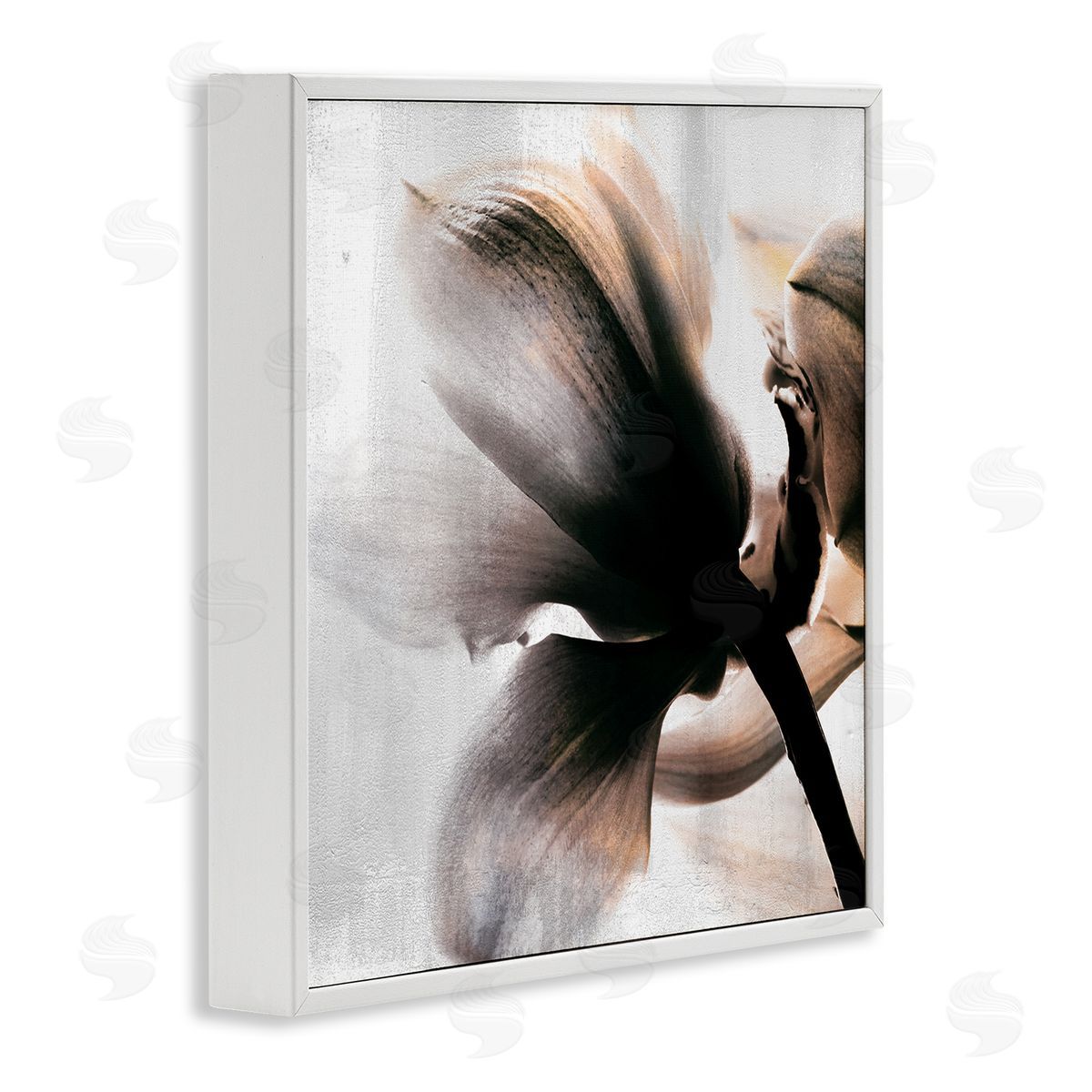 Kim Allen Flower Stem Silhouette Petals Distressed Background White Framed Glicee Wall Art Print