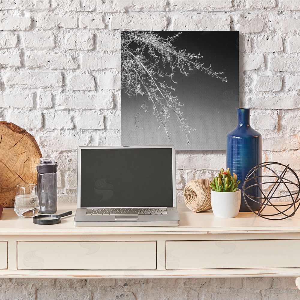 David Pollard Tree Branch Black and White Contrasting Starry Sky Canvas Wall Art in Room