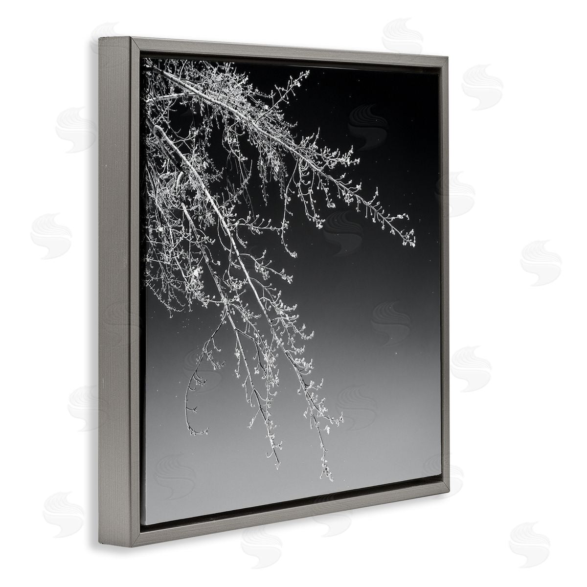 David Pollard Tree Branch Black and White Contrasting Starry Sky Gray Floating Frame Canvas Wall Art Print