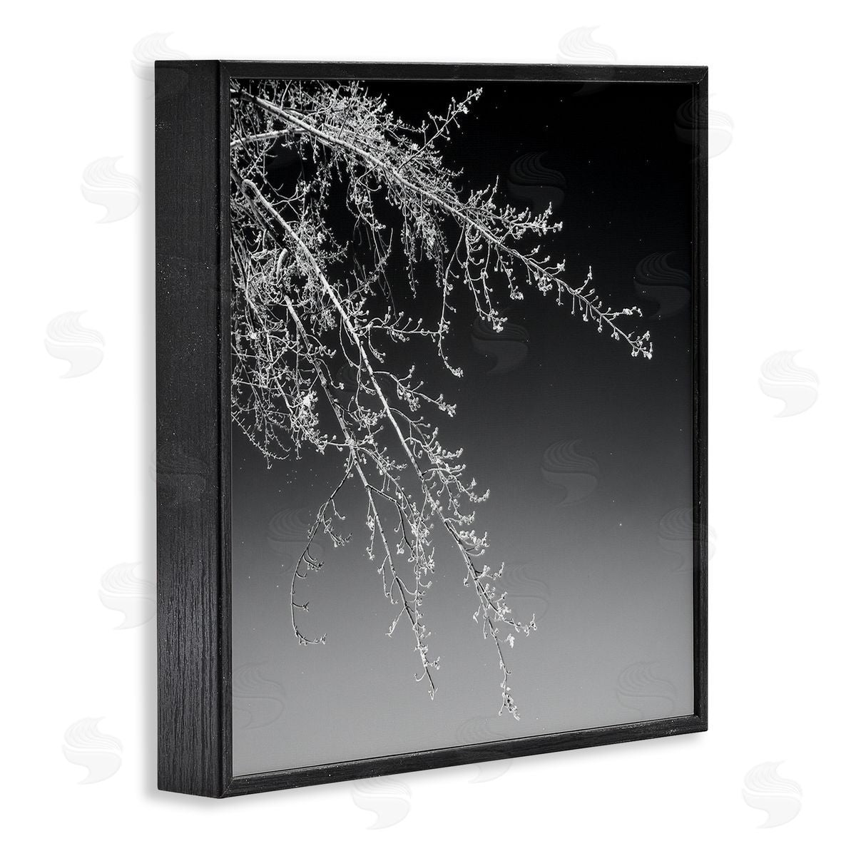 David Pollard Tree Branch Black and White Contrasting Starry Sky Black Framed Glicee Wall Art Print