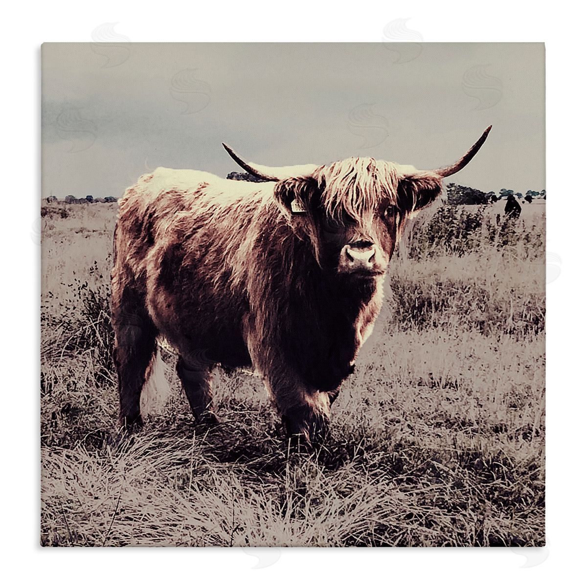 Farm Cattle Rustic Vintage Styling Canvas Wall Art, Home Decor by SD Graphics Studio