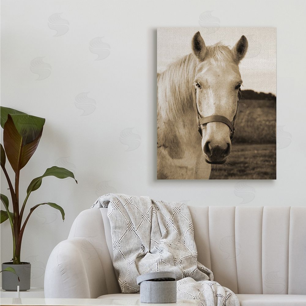 Suzanne Foschino Rustic Sepia tone Portrait of White Horse