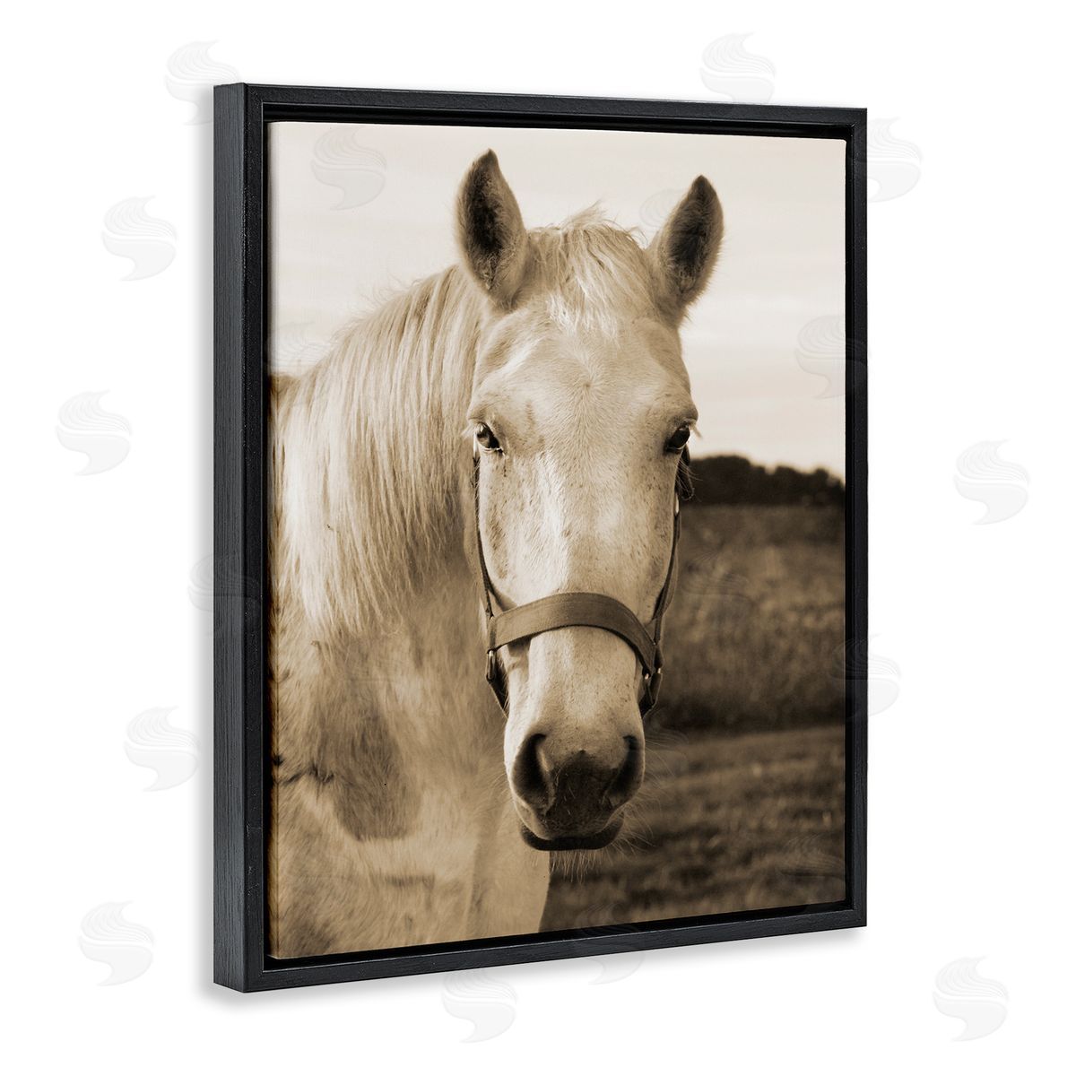 Suzanne Foschino Rustic Sepia tone Portrait of White Horse