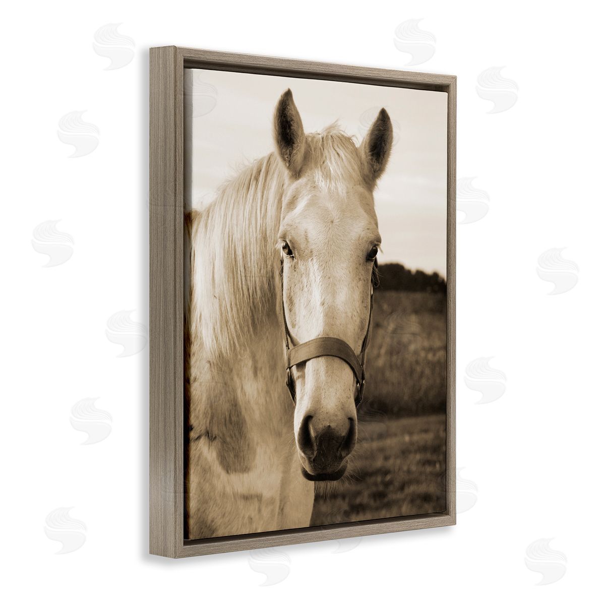Suzanne Foschino Rustic Sepia tone Portrait of White Horse