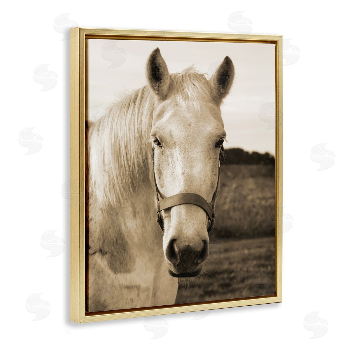 Suzanne Foschino Rustic Sepia tone Portrait of White Horse