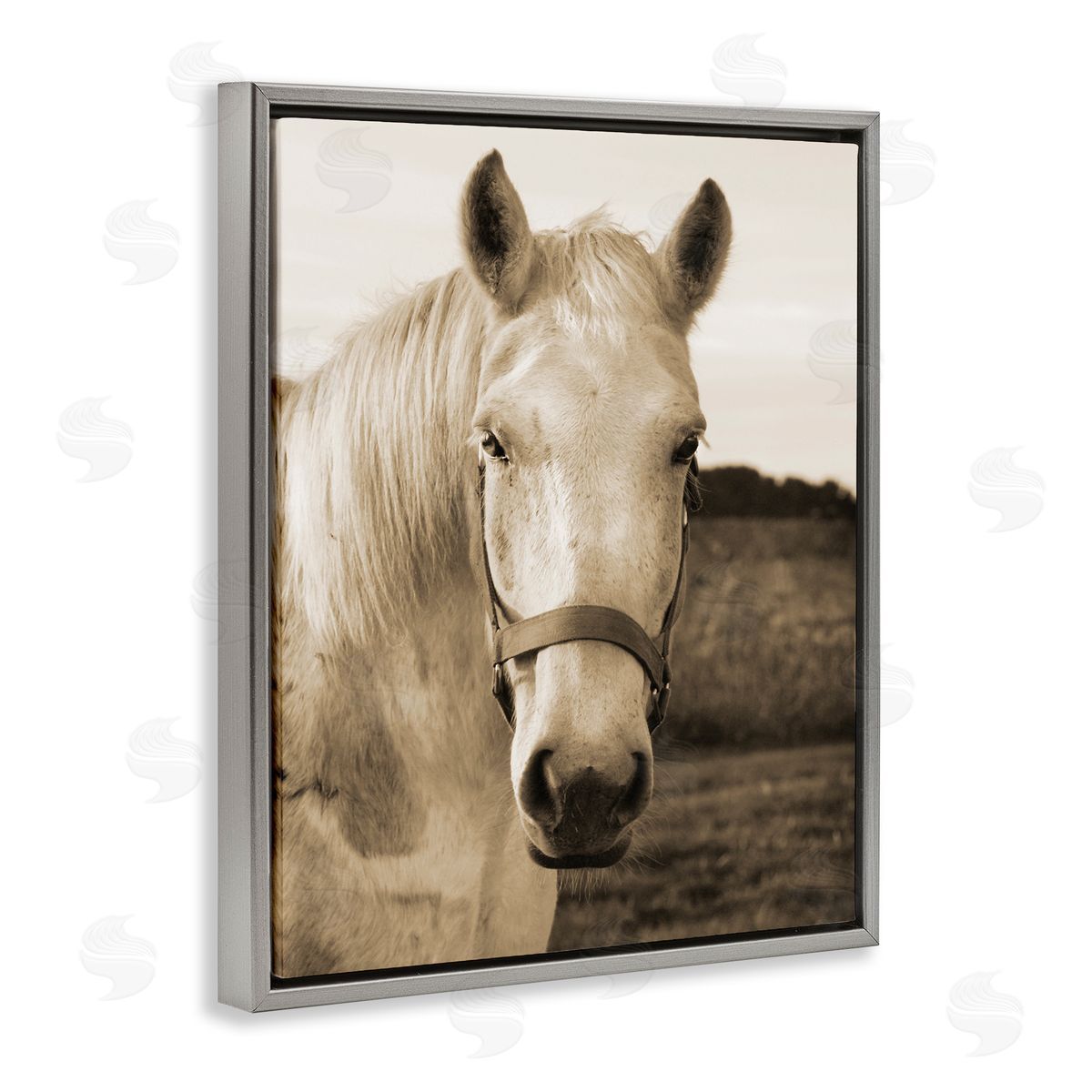 Suzanne Foschino Rustic Sepia tone Portrait of White Horse