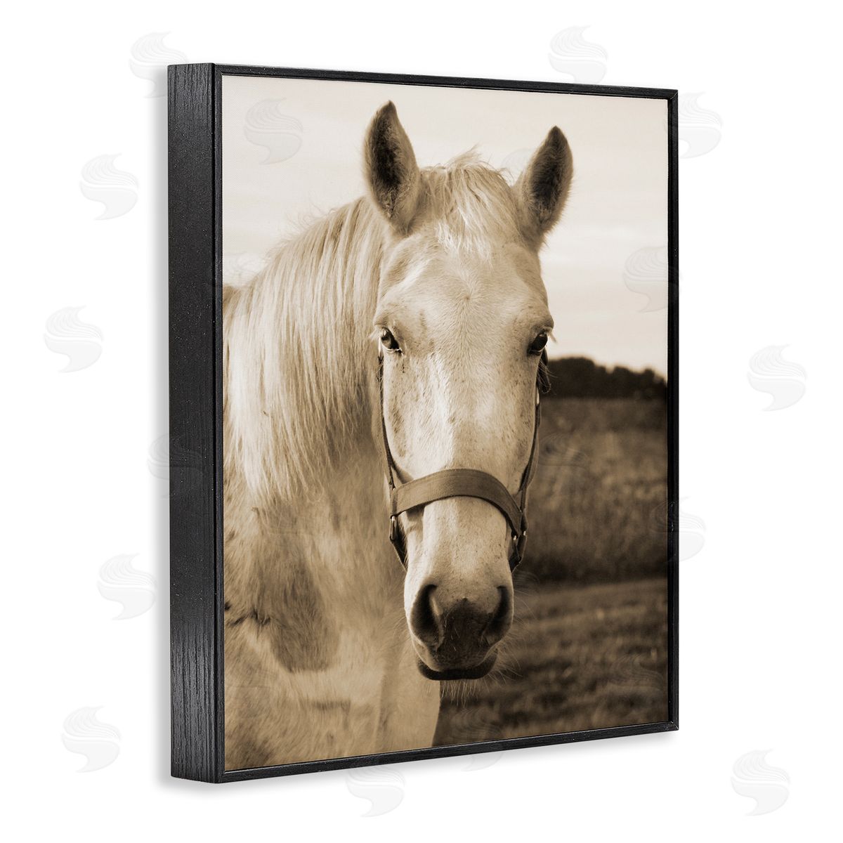 Suzanne Foschino Rustic Sepia tone Portrait of White Horse