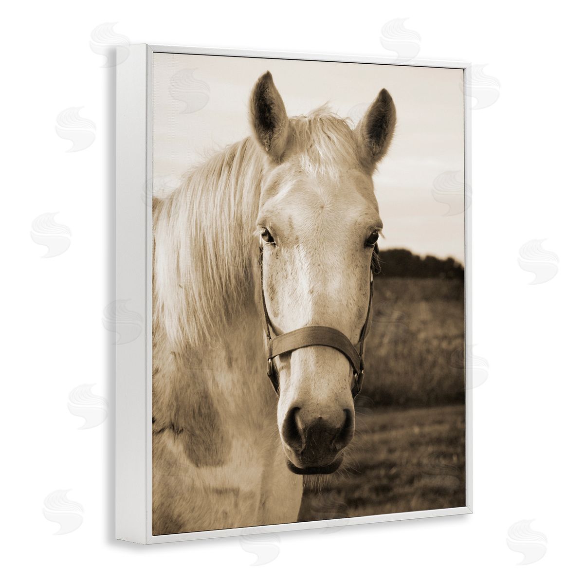 Suzanne Foschino Rustic Sepia tone Portrait of White Horse