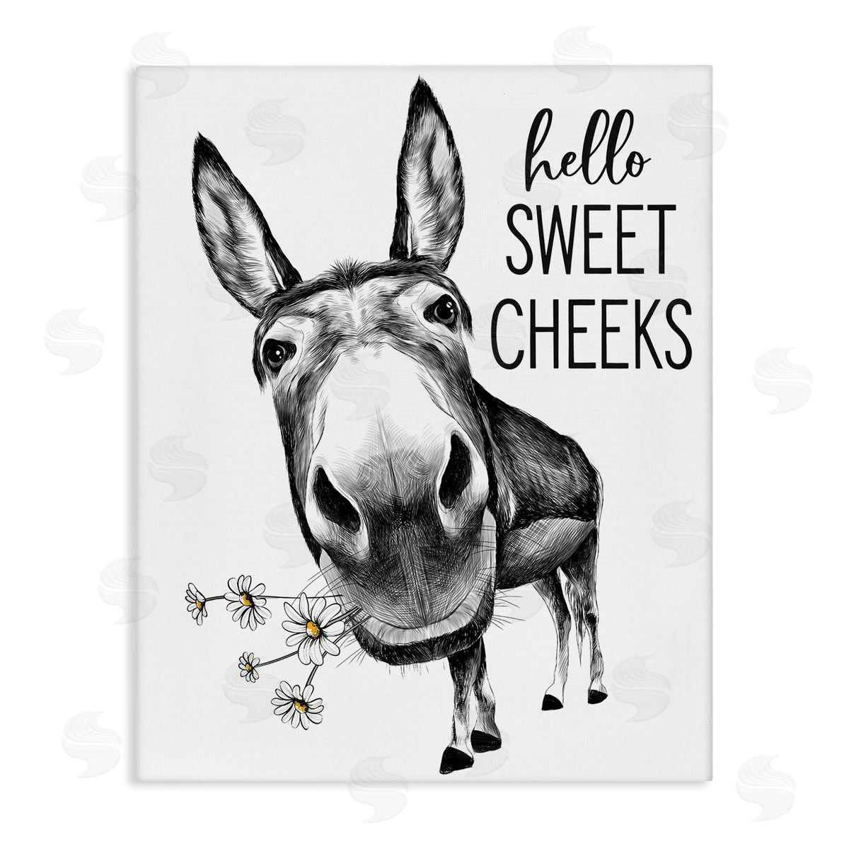 Lettered and Lined Hello Sweet Cheeks Animal Humor Donkey Daisies