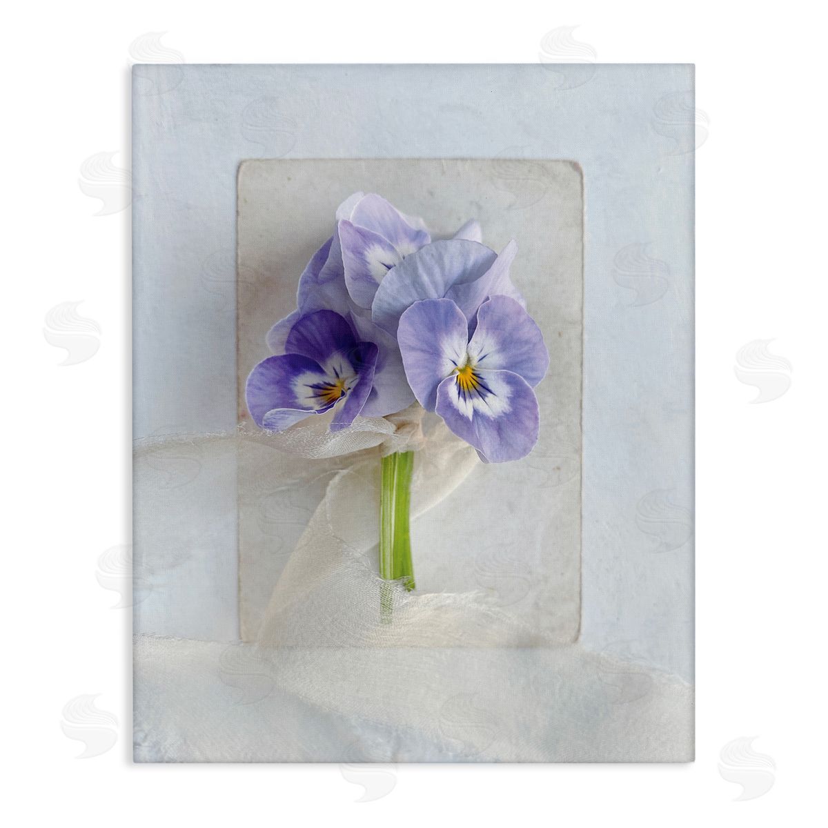 Sarah Gardner Violets Wrapped in Sheer Soft Country Floral
