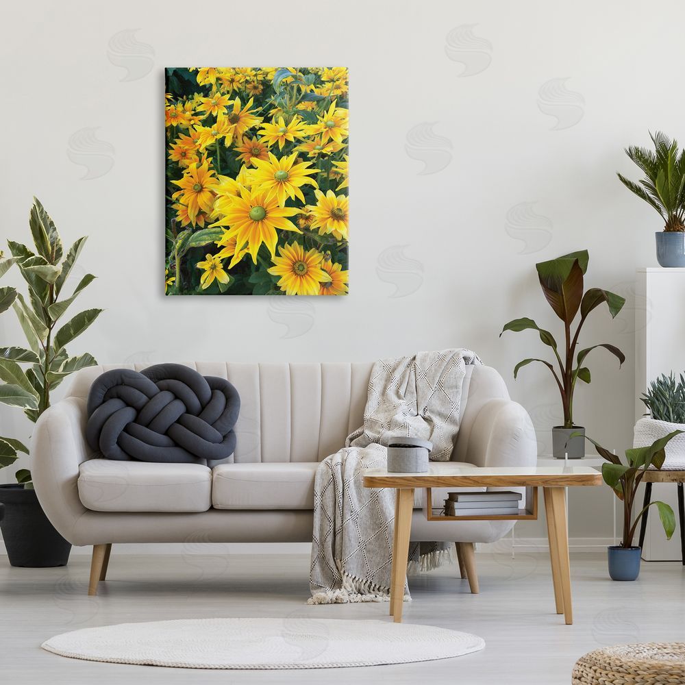 Sarah Jane Sunflower Field Blooming Green Bulbs Yellow Petals