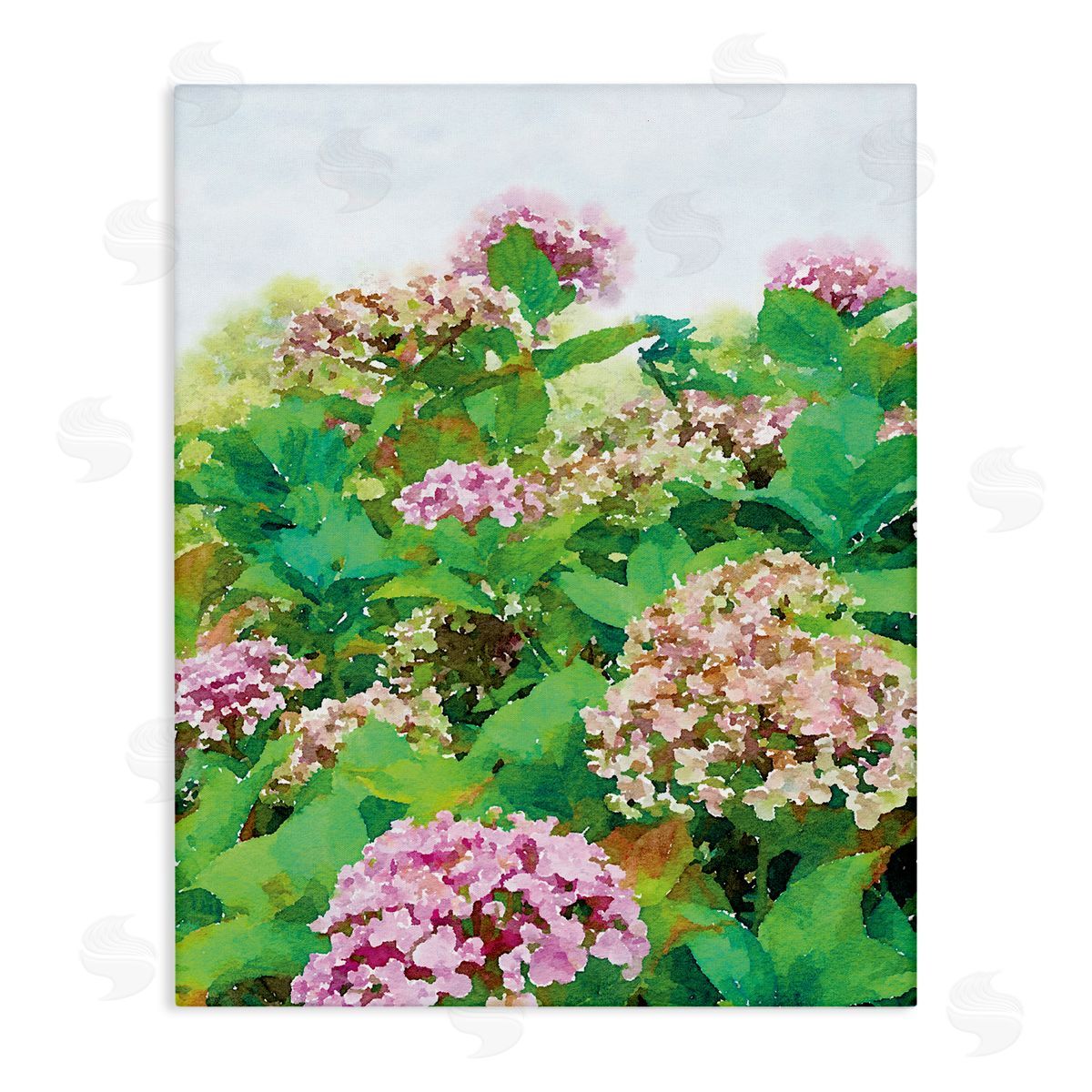 Emily Navas Pink Geranium Bushes In Field Clear Sky