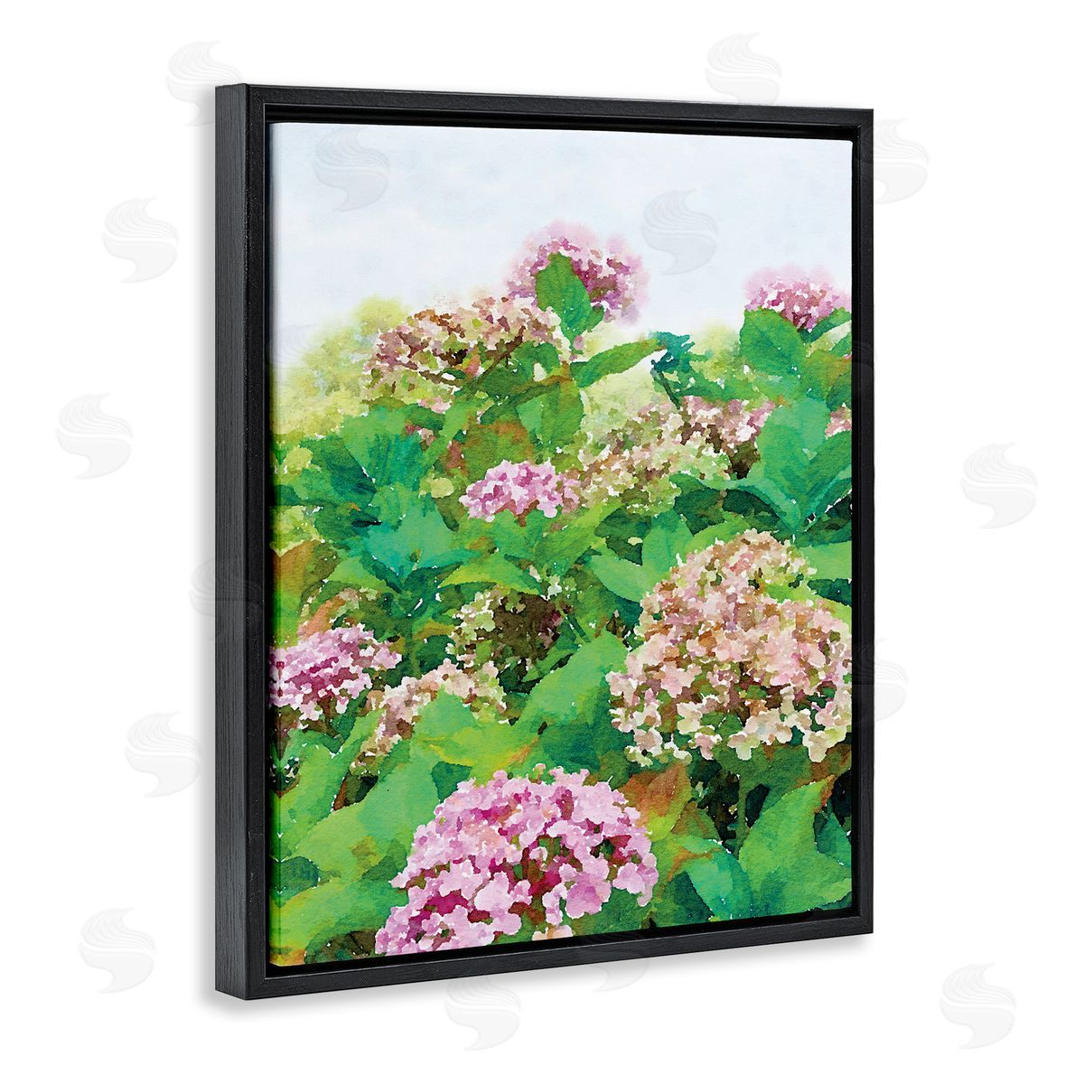 Emily Navas Pink Geranium Bushes In Field Clear Sky