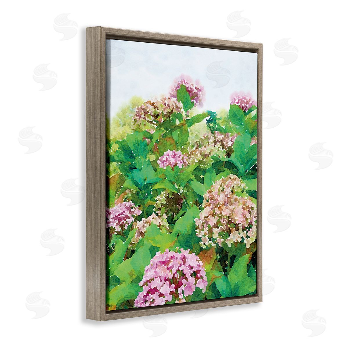 Emily Navas Pink Geranium Bushes In Field Clear Sky