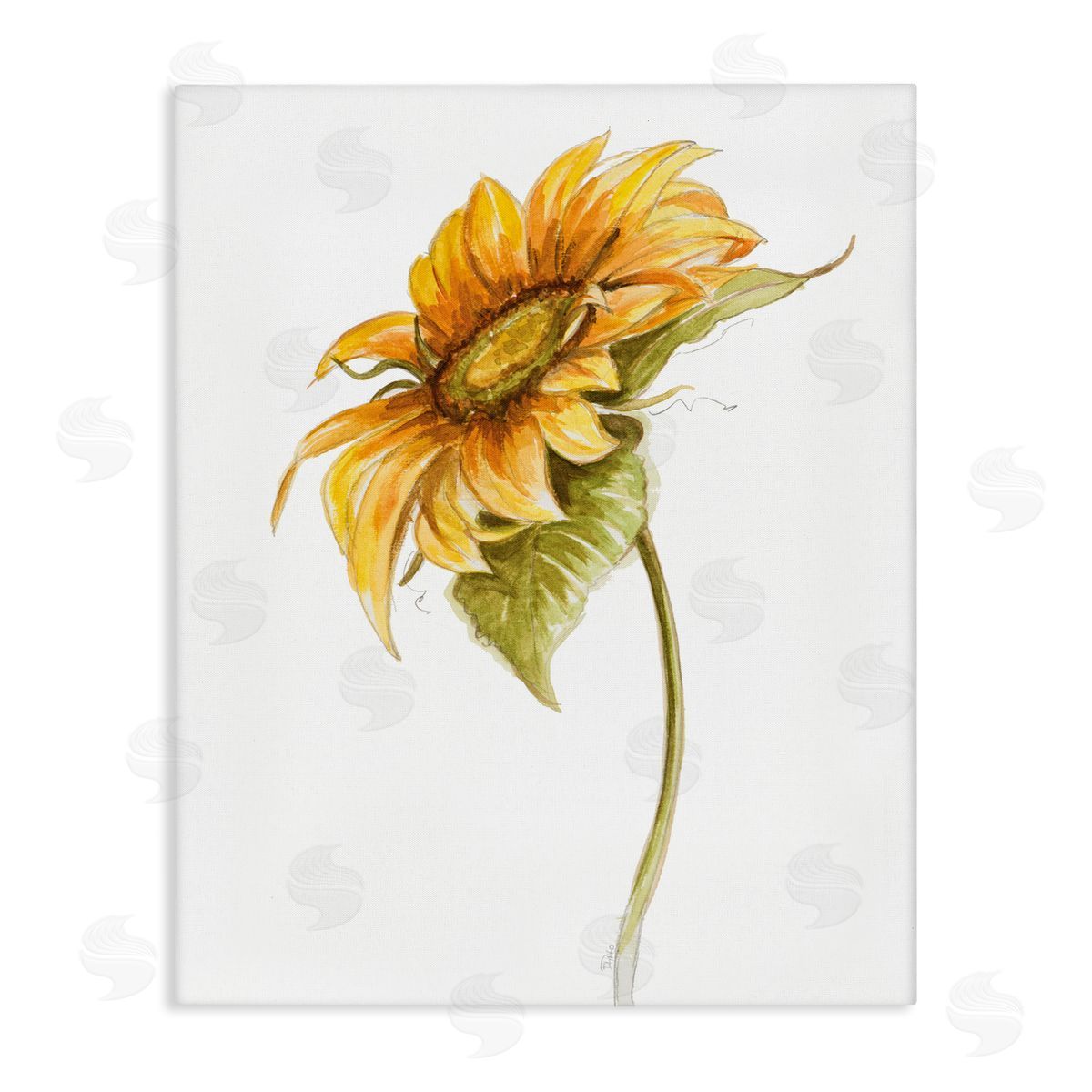 Patricia Pinto Soft Minimal Sunflower Floral Warm Summer Tones