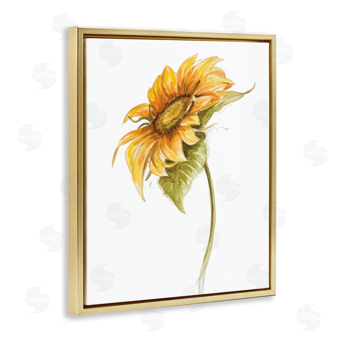 Patricia Pinto Soft Minimal Sunflower Floral Warm Summer Tones