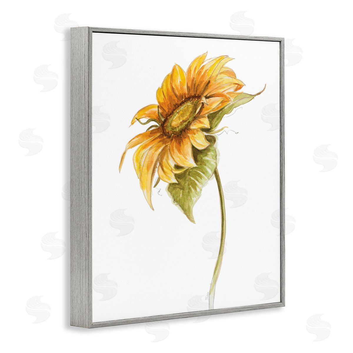 Patricia Pinto Soft Minimal Sunflower Floral Warm Summer Tones