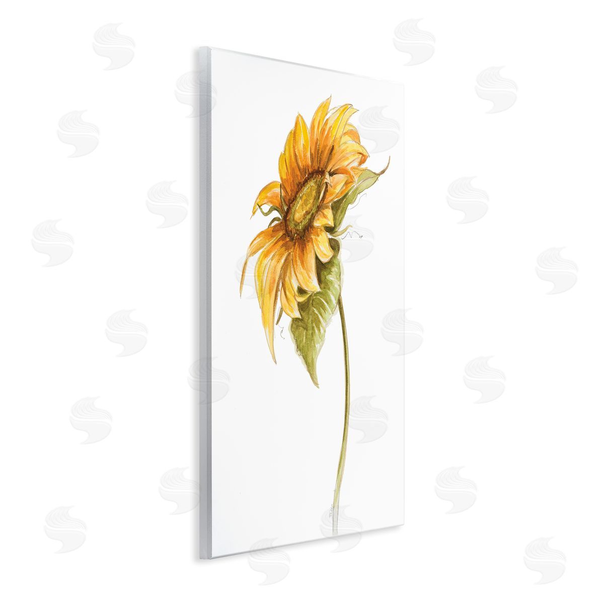 Patricia Pinto Soft Minimal Sunflower Floral Warm Summer Tones