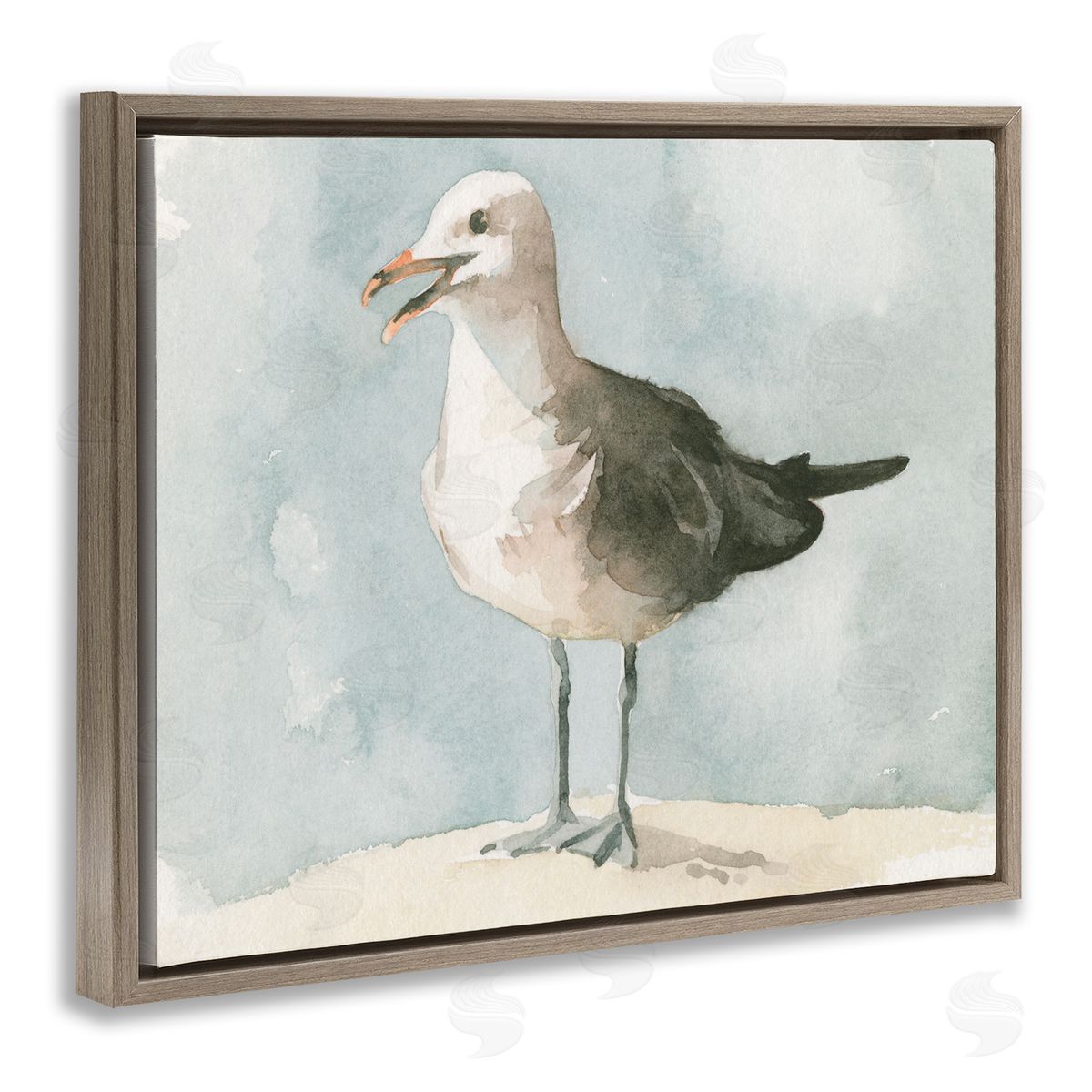 Emma Caroline Happy Seagull Soft Focus Resting On Beach 