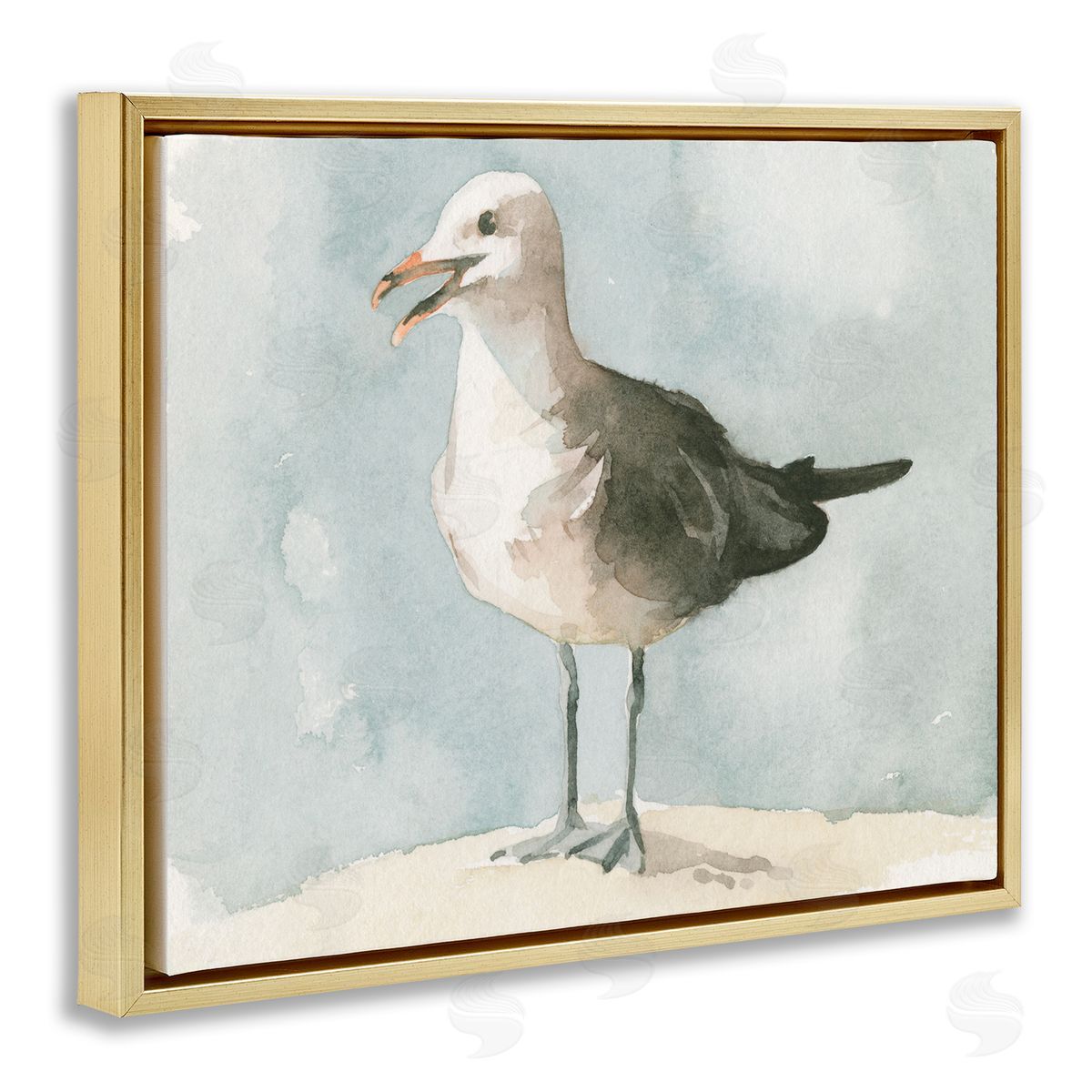 Emma Caroline Happy Seagull Soft Focus Resting On Beach 