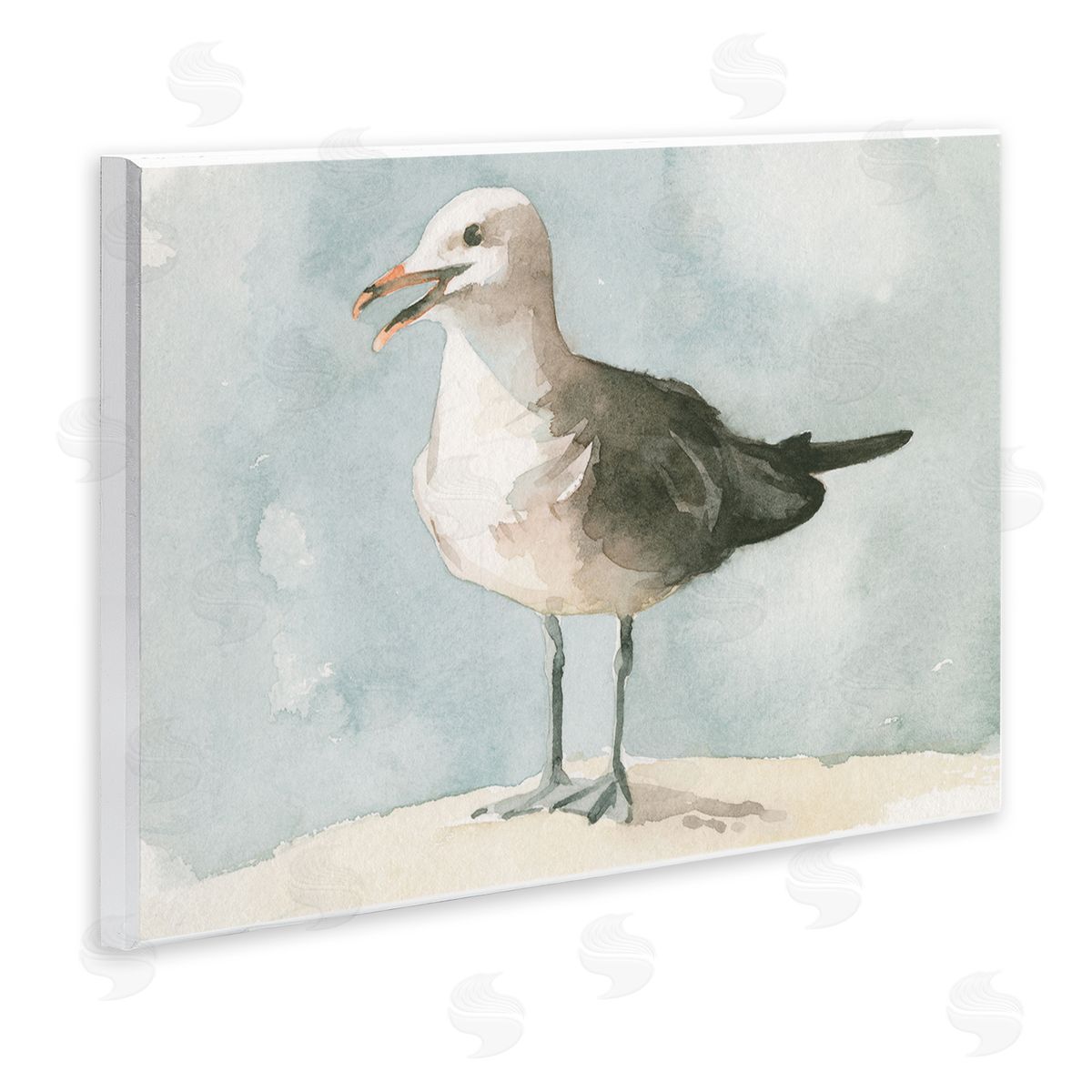 Emma Caroline Happy Seagull Soft Focus Resting On Beach 