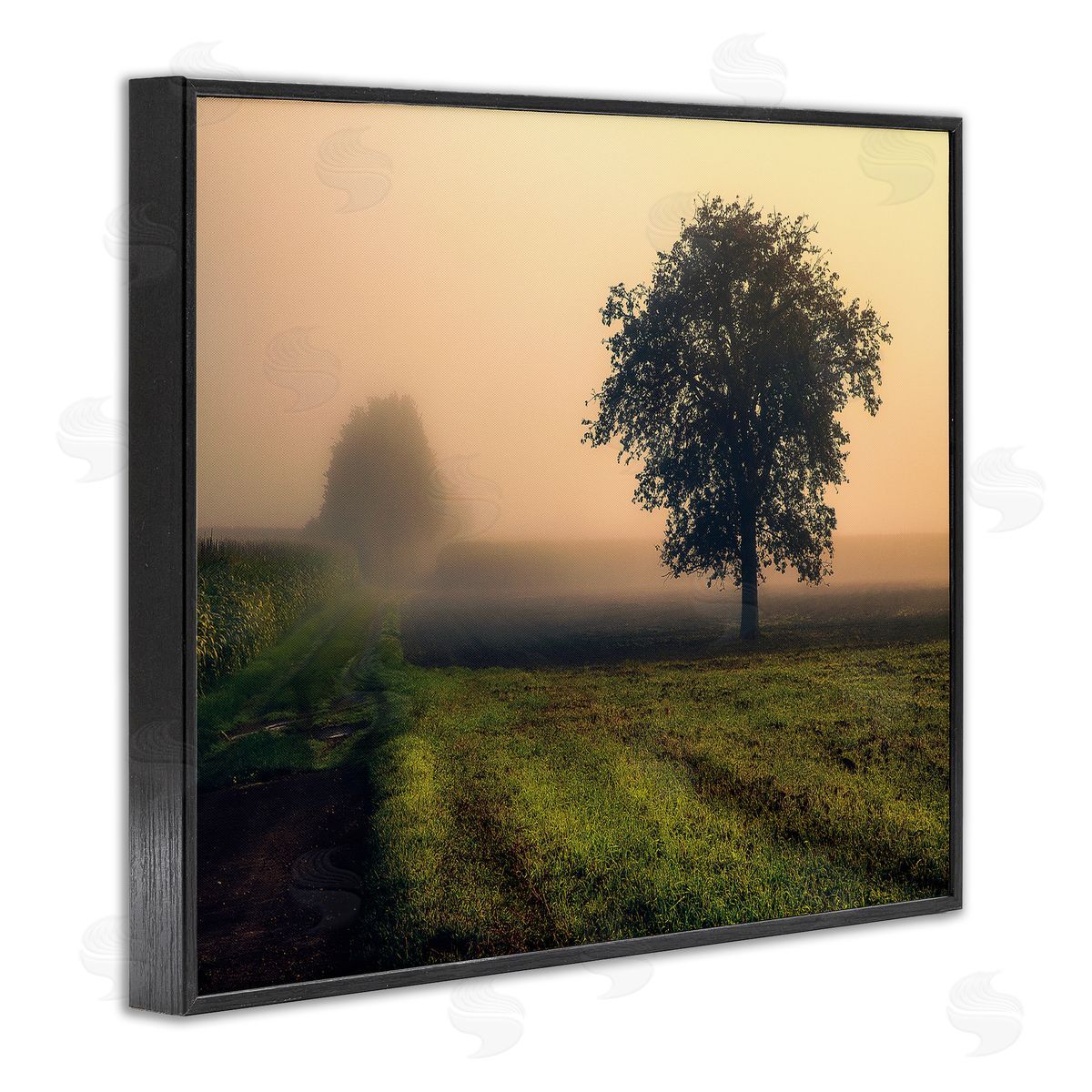 Dora Artemiadi Misty Morning Sunrise Countryside Tree Field