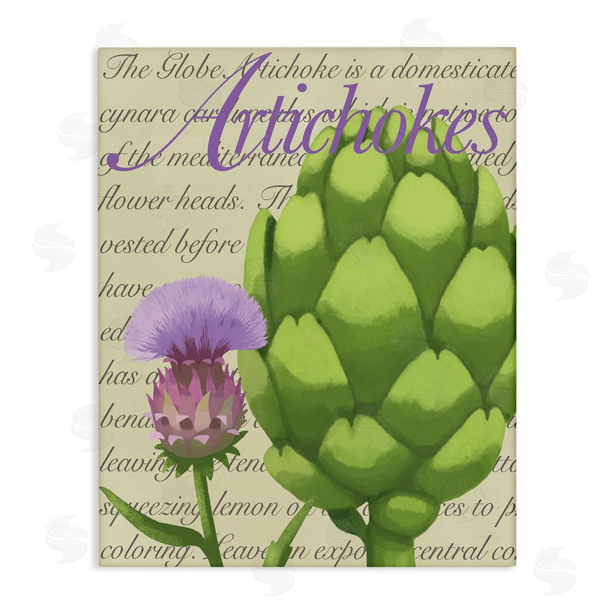 Sally Springer Griffith Artichoke Blooming Florals Green Vegetable Traditional Script Stretched Canvas Wall Art Print