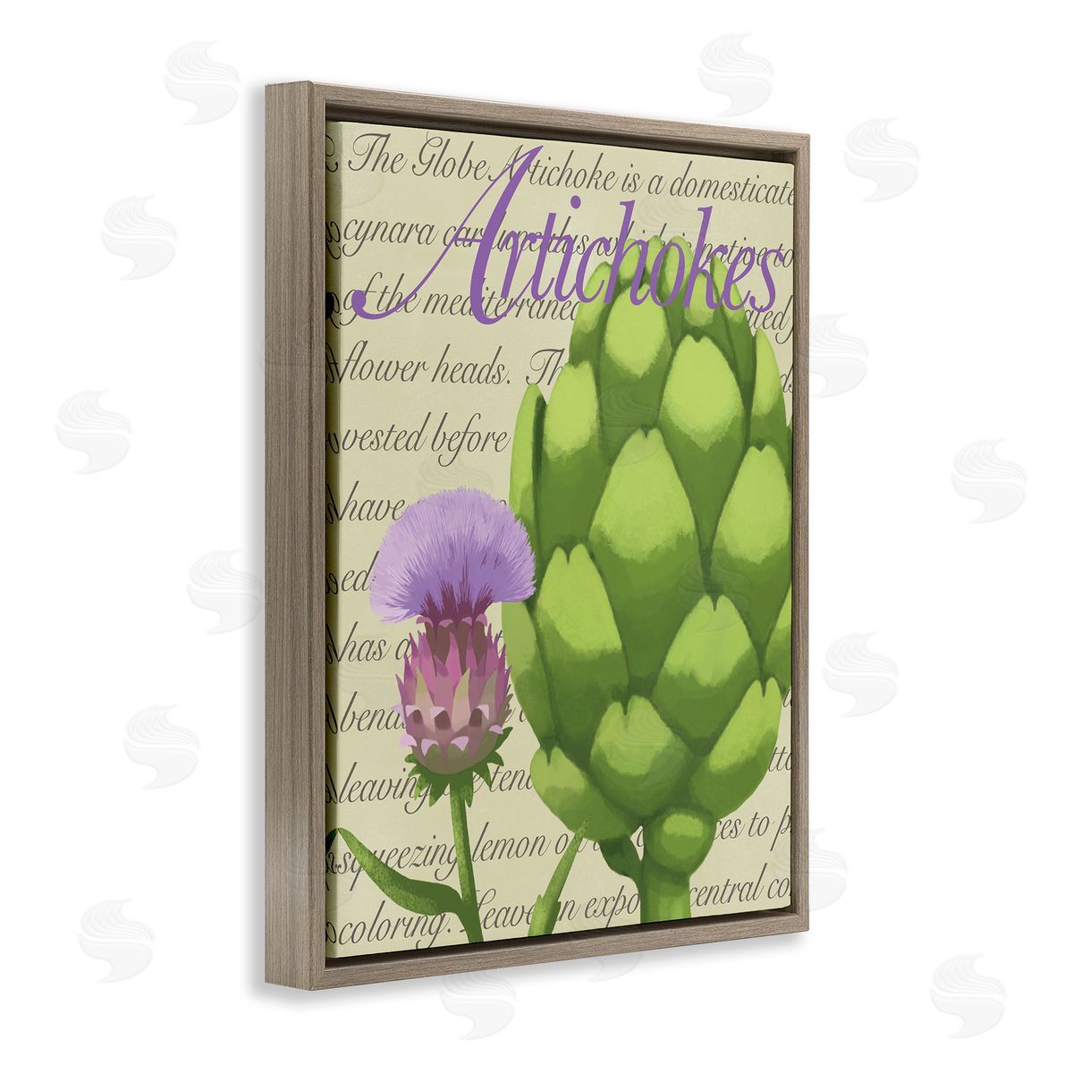 Sally Springer Griffith Artichoke Blooming Florals Green Vegetable Traditional Script Brown Floating Frame Canvas Wall Art Print