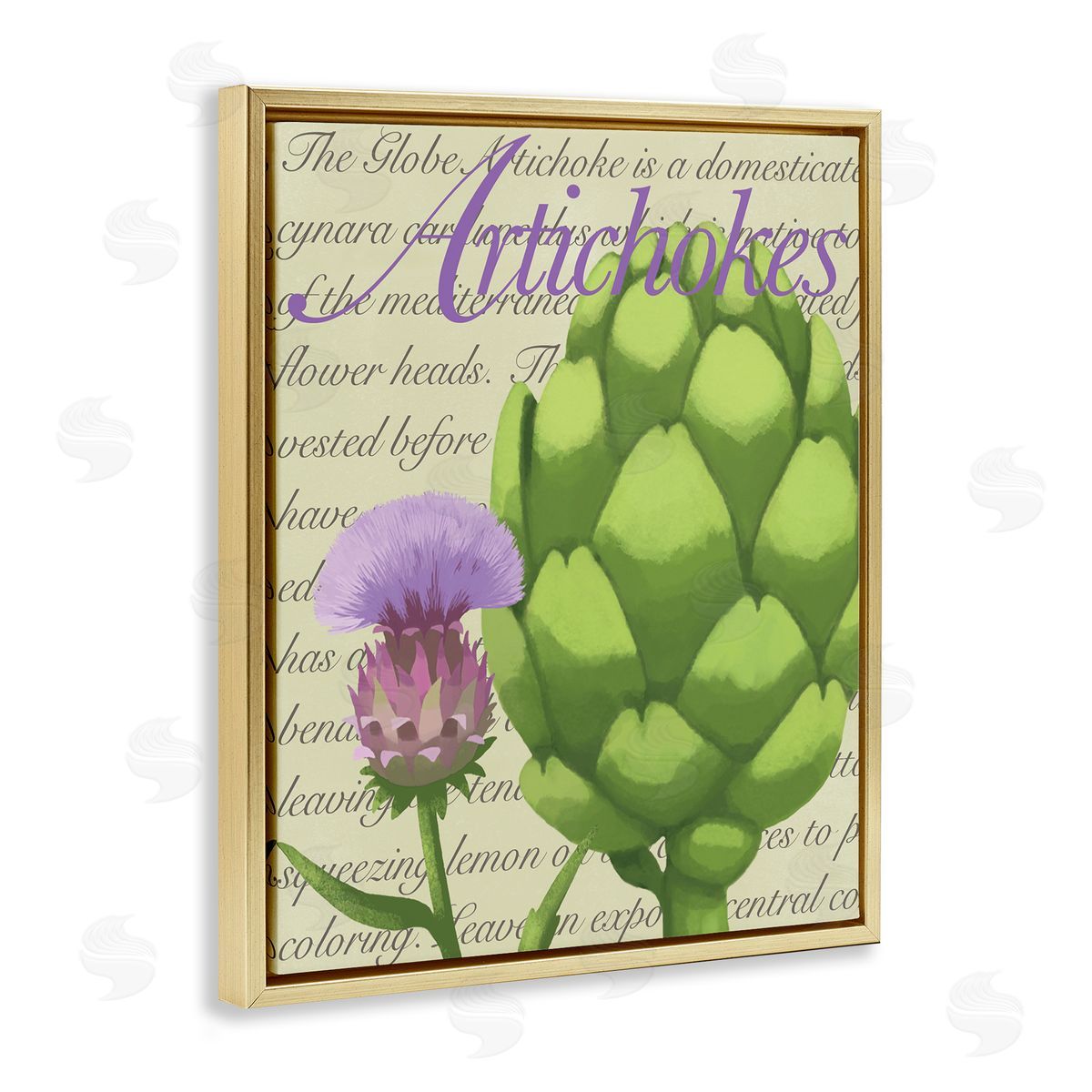 Sally Springer Griffith Artichoke Blooming Florals Green Vegetable Traditional Script Gold Floating Frame Canvas Wall Art Print