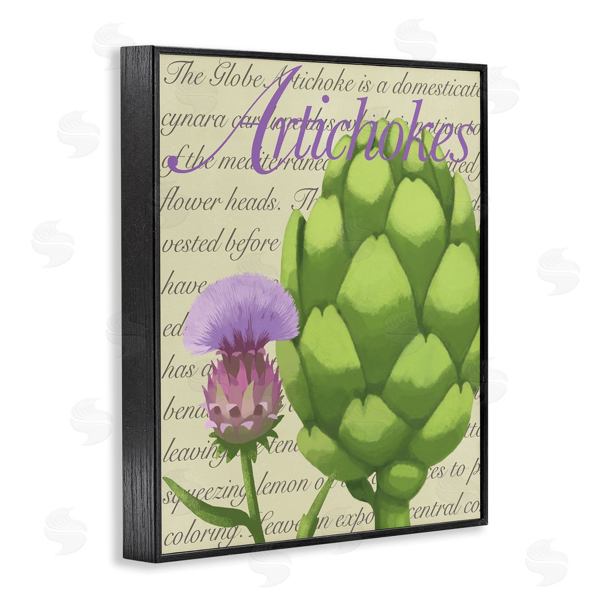 Sally Springer Griffith Artichoke Blooming Florals Green Vegetable Traditional Script Black Framed Glicee Wall Art Print