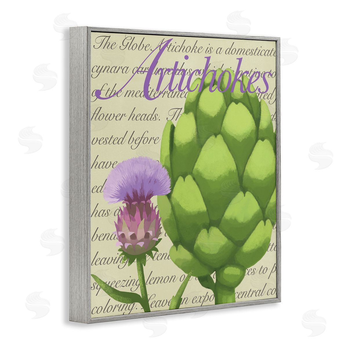 Sally Springer Griffith Artichoke Blooming Florals Green Vegetable Traditional Script Gray Framed Glicee Wall Art Print