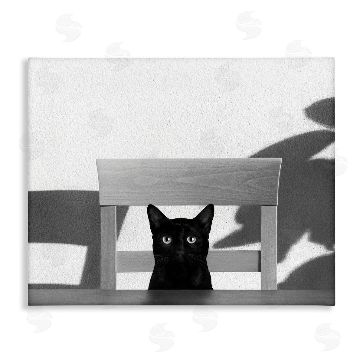 Jon Bertelli Black Cat at Kitchen Table Pet Animal Photograph