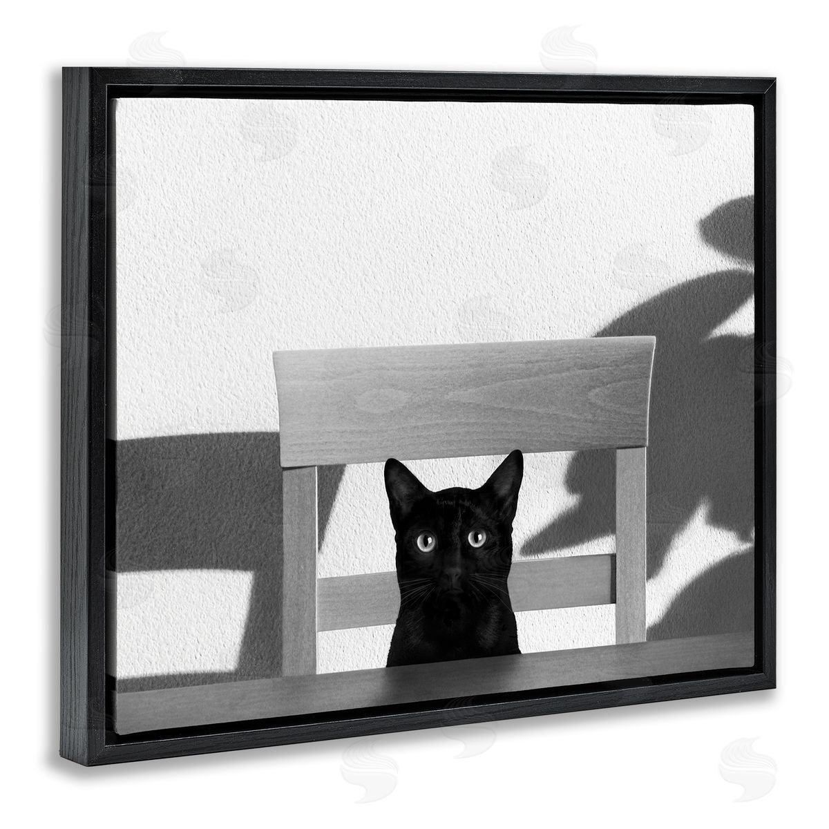 Jon Bertelli Black Cat at Kitchen Table Pet Animal Photograph