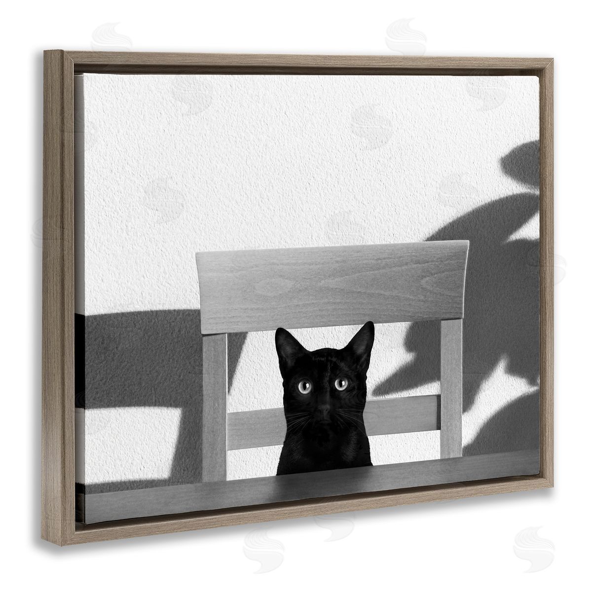 Jon Bertelli Black Cat at Kitchen Table Pet Animal Photograph