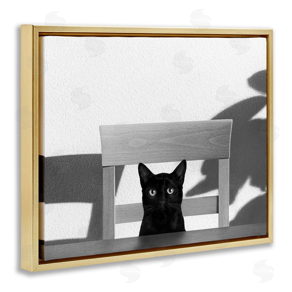 Jon Bertelli Black Cat at Kitchen Table Pet Animal Photograph