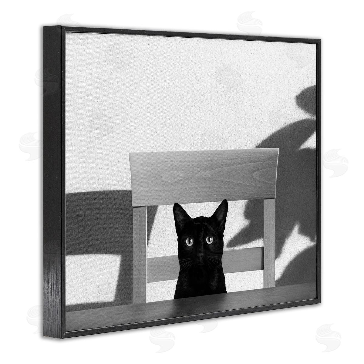 Jon Bertelli Black Cat at Kitchen Table Pet Animal Photograph