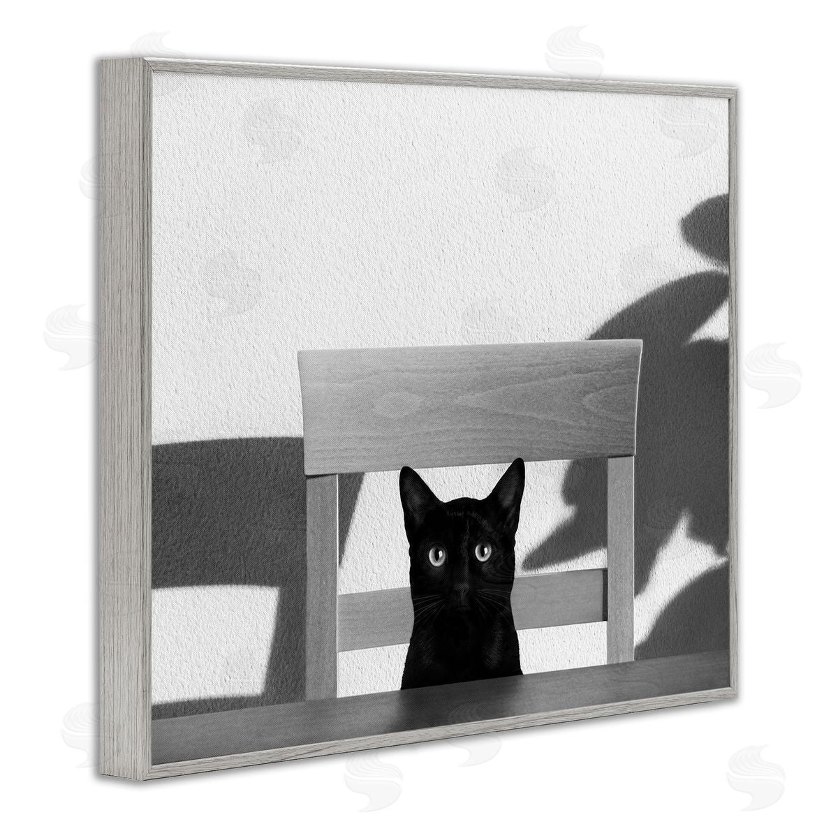 Jon Bertelli Black Cat at Kitchen Table Pet Animal Photograph
