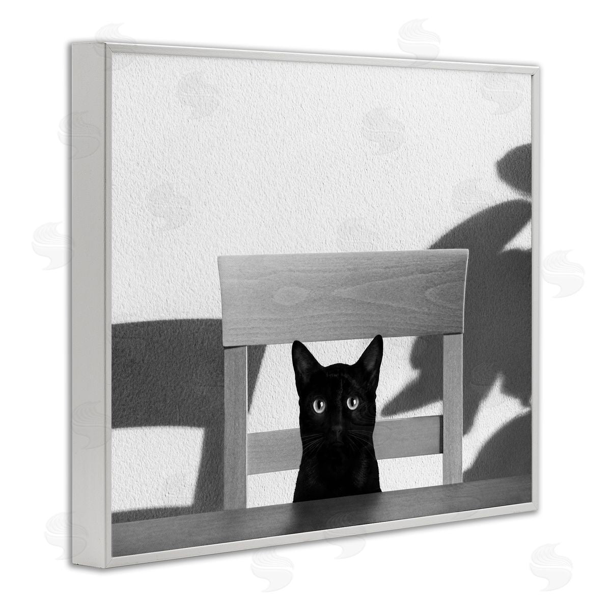 Jon Bertelli Black Cat at Kitchen Table Pet Animal Photograph