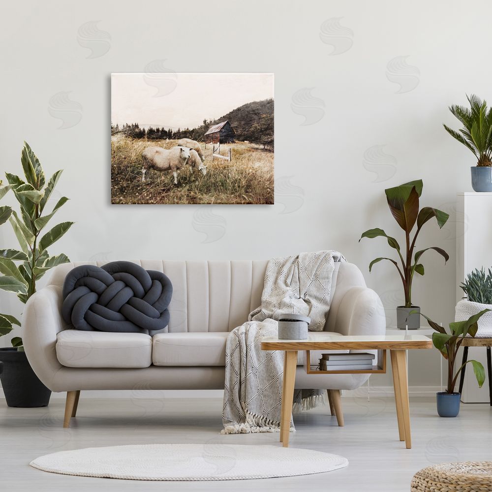 Bluebird Barn Autumn Field Farm Sheep Grazing Wilderness Barn