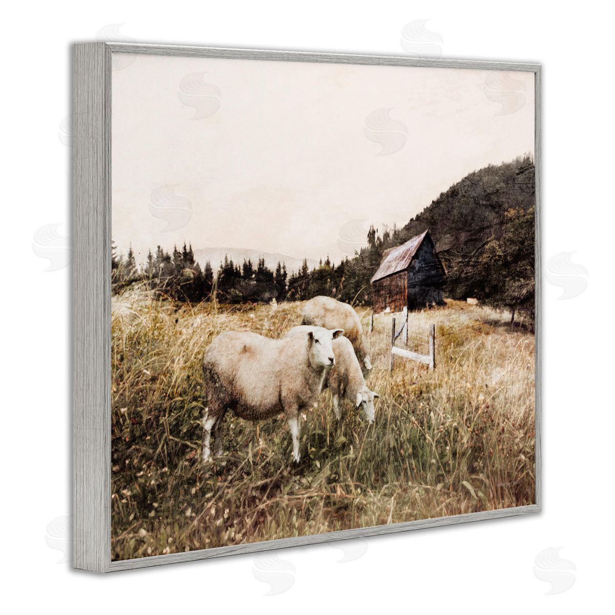 Bluebird Barn Autumn Field Farm Sheep Grazing Wilderness Barn